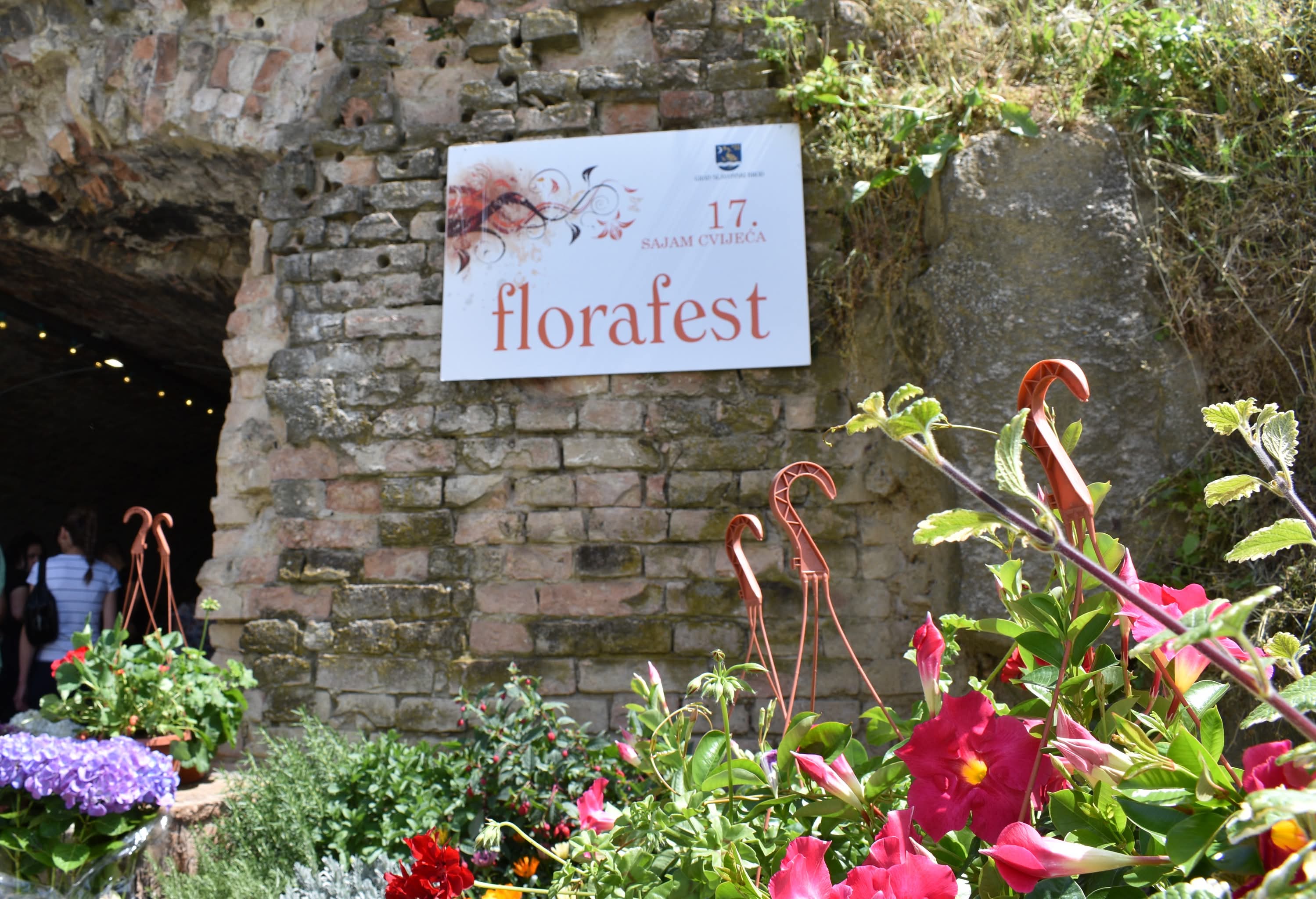 Petunije, lavanda, smilje, begonije... svatko ovdje može naći nešto za vrt!