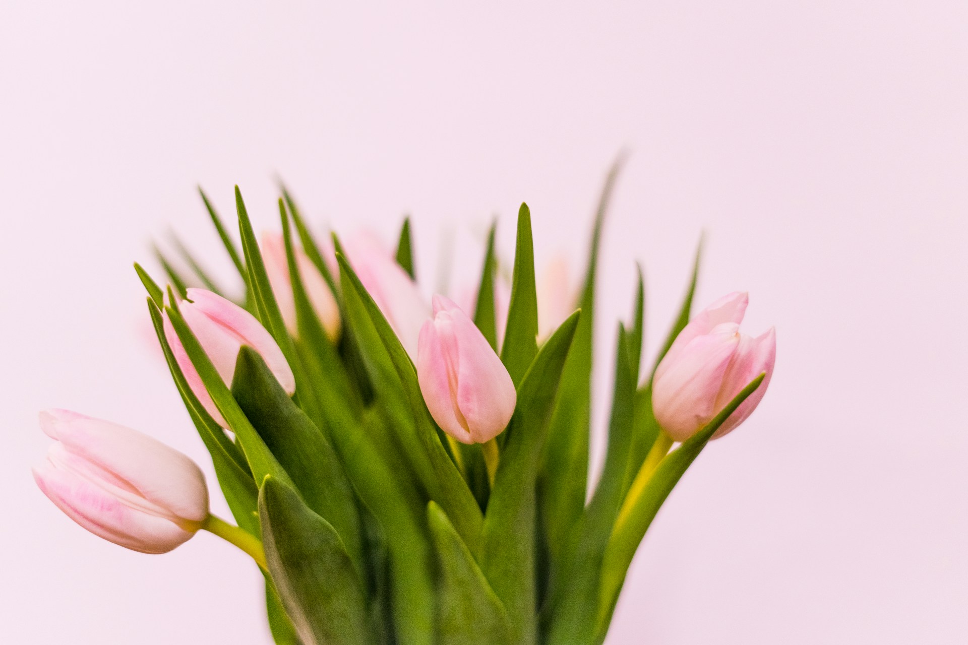 Što pokloniti za Dan žena djevojci, ženi, mami, sestri? Donosimo nekoliko ideja 