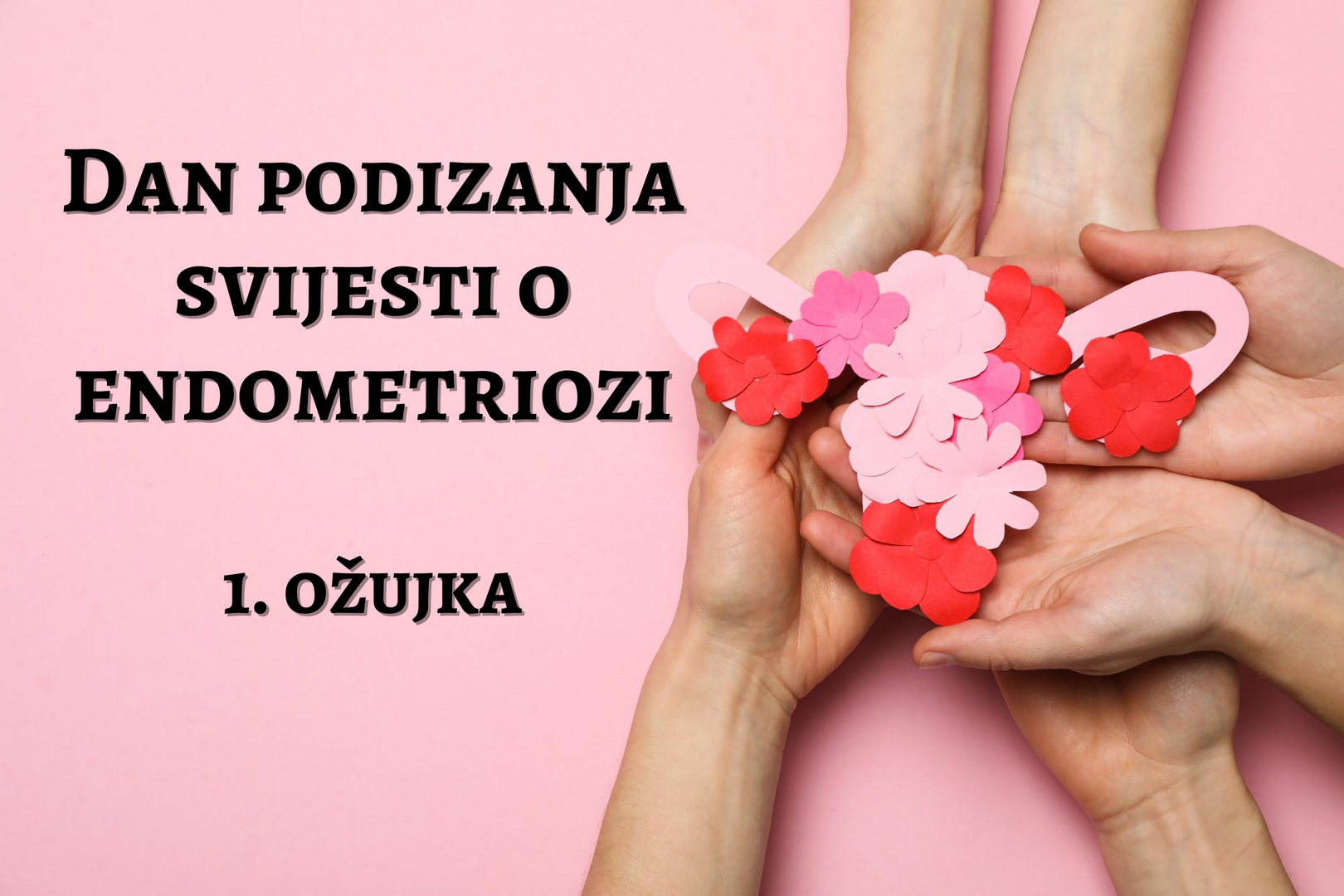 Hrvatska obilježava Dan podizanja svijesti o endometriozi: Bolest koja pogađa 90.000 žena