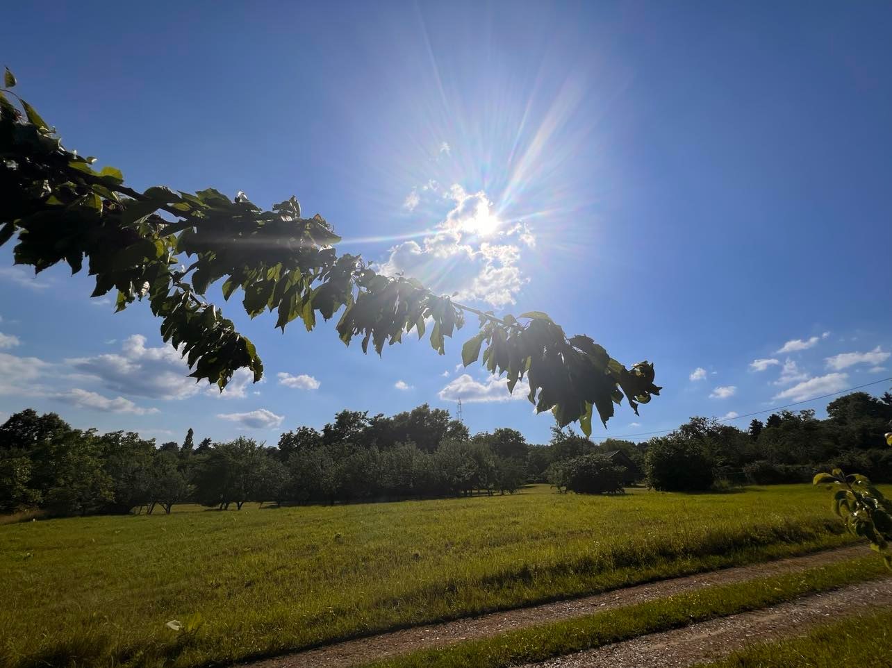 Stiže vrhunac toplinskog vala: Temperature će se penjati do 39 stupnjeva, na snazi najviši stupanj upozorenja