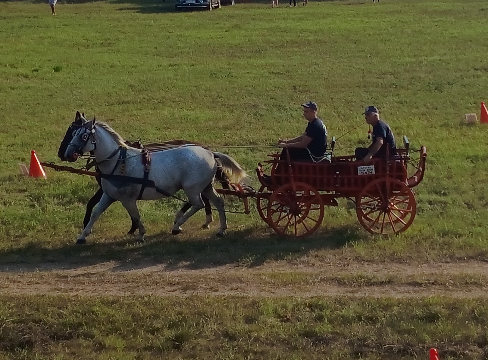 Slavonski Kobaš proslavio tradiciju uzgoja lipicanaca uz natjecanje i druženje